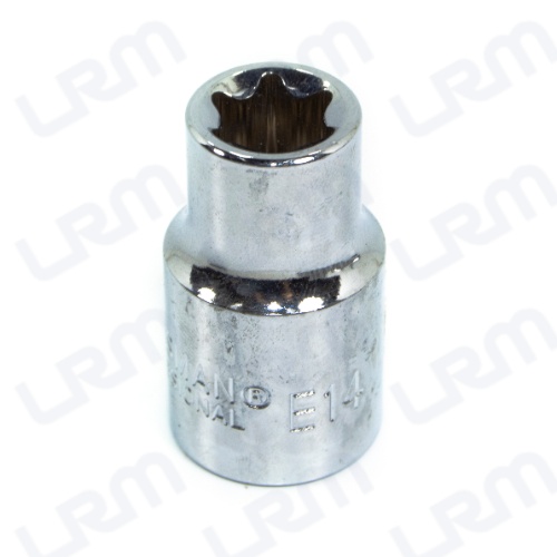 Copa E-14 1/2 Torx Hembra