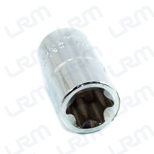Copa E-20 1/2 Torx Hembra